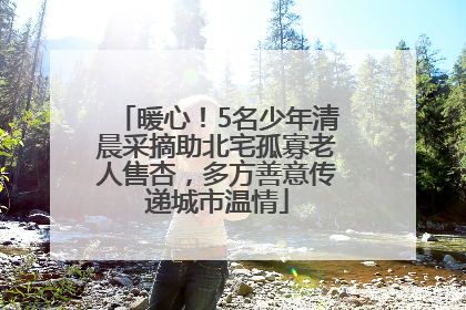 暖心！5名少年清晨采摘助北宅孤寡老人售杏，多方善意传递城市温情