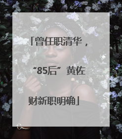 曾任职清华，“85后”黄佐财新职明确