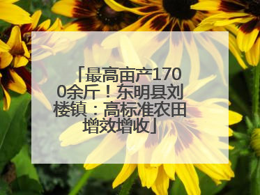 最高亩产1700余斤！东明县刘楼镇：高标准农田增效增收