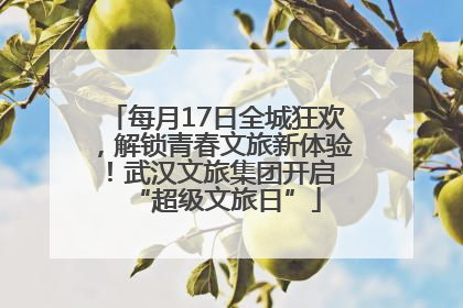 每月17日全城狂欢，解锁青春文旅新体验！武汉文旅集团开启 “超级文旅日”