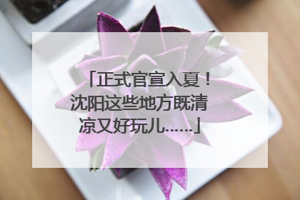 正式官宣入夏！沈阳这些地方既清凉又好玩儿……