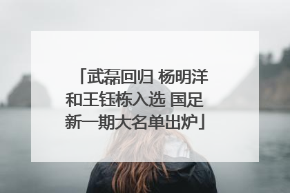 武磊回归 杨明洋和王钰栋入选 国足新一期大名单出炉