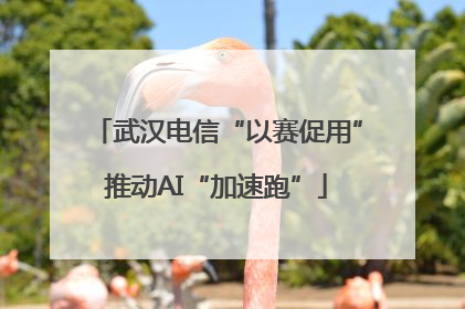 武汉电信“以赛促用”推动AI“加速跑”