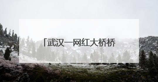 武汉一网红大桥桥下被指圈起来收费，进去100块还必须消费？当地回应