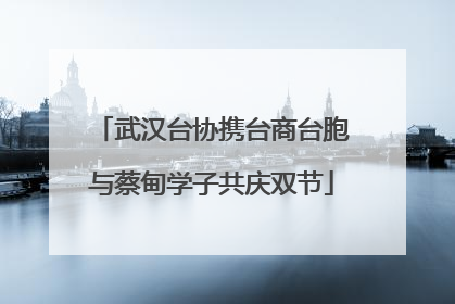 武汉台协携台商台胞与蔡甸学子共庆双节