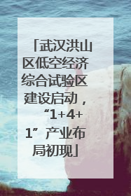 武汉洪山区低空经济综合试验区建设启动，“1+4+1”产业布局初现