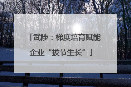 武陟：梯度培育赋能企业“拔节生长”