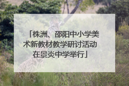 株洲、邵阳中小学美术新教材教学研讨活动在景炎中学举行