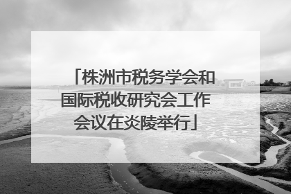 株洲市税务学会和国际税收研究会工作会议在炎陵举行