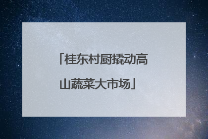 桂东村厨撬动高山蔬菜大市场