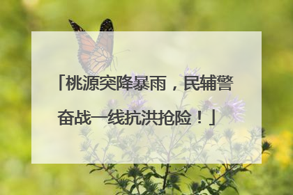 桃源突降暴雨，民辅警奋战一线抗洪抢险！