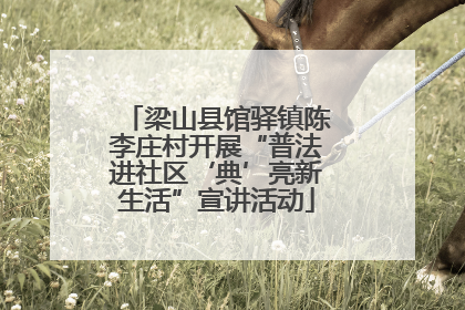 梁山县馆驿镇陈李庄村开展“普法进社区‘典’亮新生活”宣讲活动