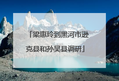 梁惠玲到黑河市逊克县和孙吴县调研