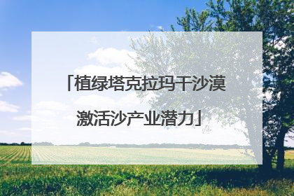 植绿塔克拉玛干沙漠 激活沙产业潜力
