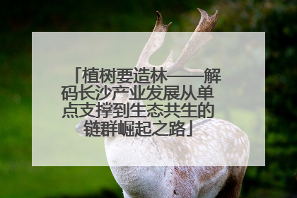 植树要造林——解码长沙产业发展从单点支撑到生态共生的链群崛起之路