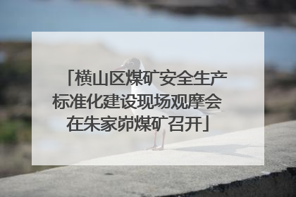 横山区煤矿安全生产标准化建设现场观摩会在朱家峁煤矿召开