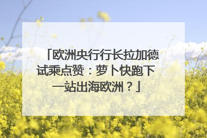 欧洲央行行长拉加德试乘点赞：萝卜快跑下一站出海欧洲？