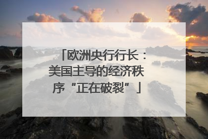 欧洲央行行长：美国主导的经济秩序“正在破裂”