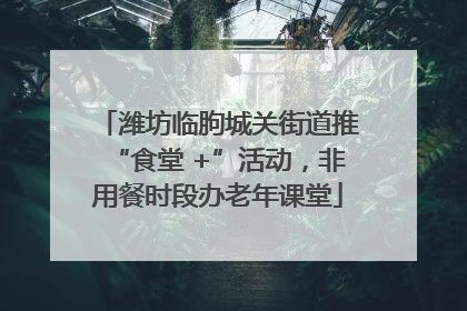 潍坊临朐城关街道推“食堂 +”活动，非用餐时段办老年课堂