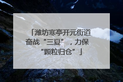 潍坊寒亭开元街道奋战“三夏”，力保“颗粒归仓”