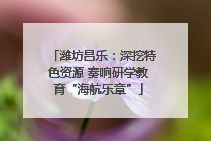 潍坊昌乐：深挖特色资源 奏响研学教育“海航乐章”