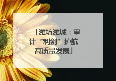 潍坊潍城：审计“利剑”护航高质量发展