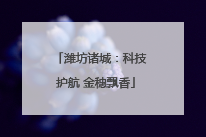 潍坊诸城：科技护航 金穗飘香