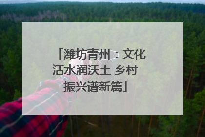 潍坊青州：文化活水润沃土 乡村振兴谱新篇