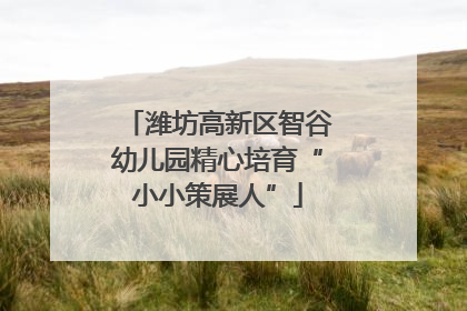 潍坊高新区智谷幼儿园精心培育“小小策展人”