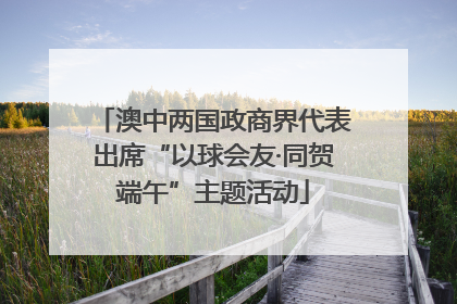 澳中两国政商界代表出席“以球会友·同贺端午”主题活动