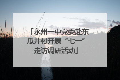 永州一中党委赴东瓜井村开展“七一”走访调研活动