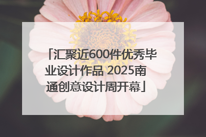 汇聚近600件优秀毕业设计作品 2025南通创意设计周开幕