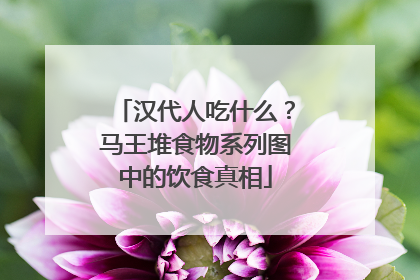 汉代人吃什么？马王堆食物系列图中的饮食真相