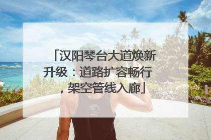 汉阳琴台大道焕新升级：道路扩容畅行，架空管线入廊