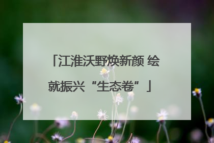 江淮沃野焕新颜 绘就振兴“生态卷”