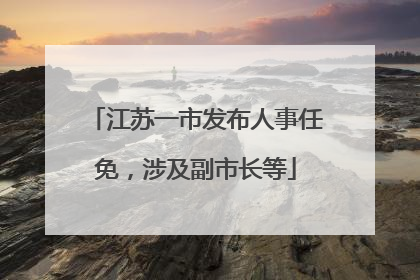 江苏一市发布人事任免，涉及副市长等