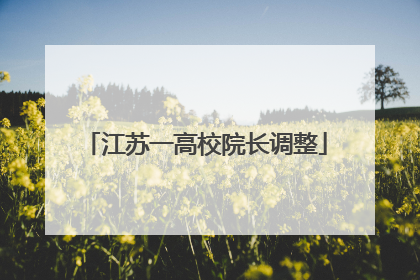 江苏一高校院长调整