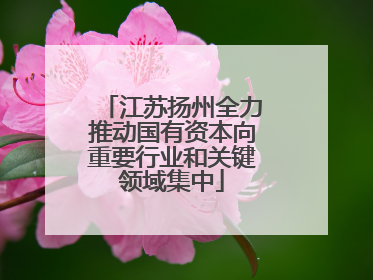 江苏扬州全力推动国有资本向重要行业和关键领域集中