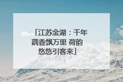 江苏金湖：千年藕香飘万里 荷韵悠悠引客来