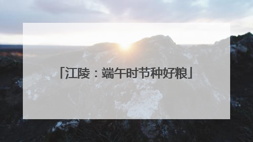 江陵：端午时节种好粮