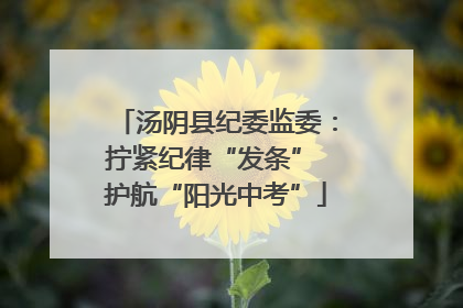 汤阴县纪委监委：拧紧纪律“发条” 护航“阳光中考”