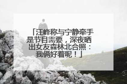 汪峰称与宁静牵手是节目需要，深夜晒出女友森林北合照：我俩好着呢！