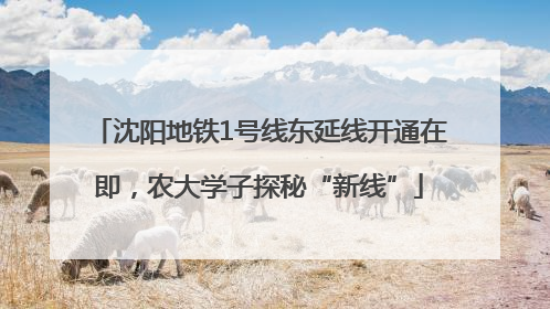 沈阳地铁1号线东延线开通在即，农大学子探秘“新线”