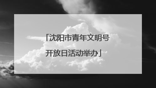 沈阳市青年文明号开放日活动举办