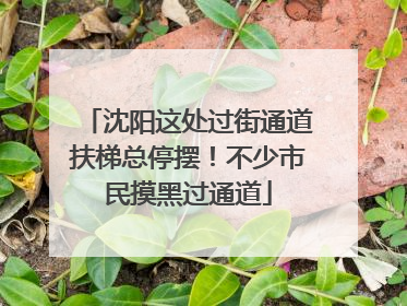 沈阳这处过街通道扶梯总停摆！不少市民摸黑过通道