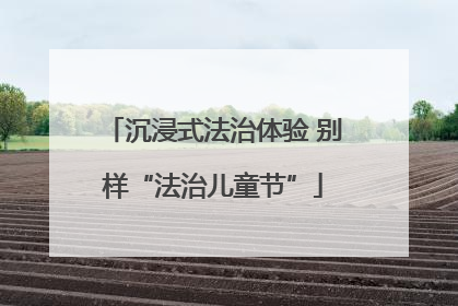 沉浸式法治体验 别样“法治儿童节”