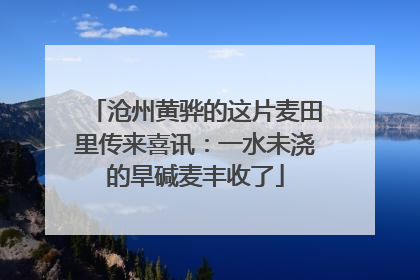 沧州黄骅的这片麦田里传来喜讯：一水未浇的旱碱麦丰收了