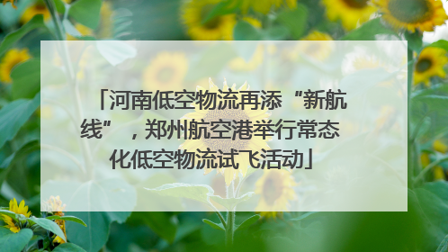 河南低空物流再添“新航线”，郑州航空港举行常态化低空物流试飞活动