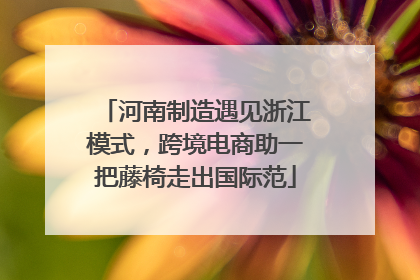河南制造遇见浙江模式，跨境电商助一把藤椅走出国际范
