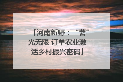 河南新野：“薯”光无限 订单农业激活乡村振兴密码